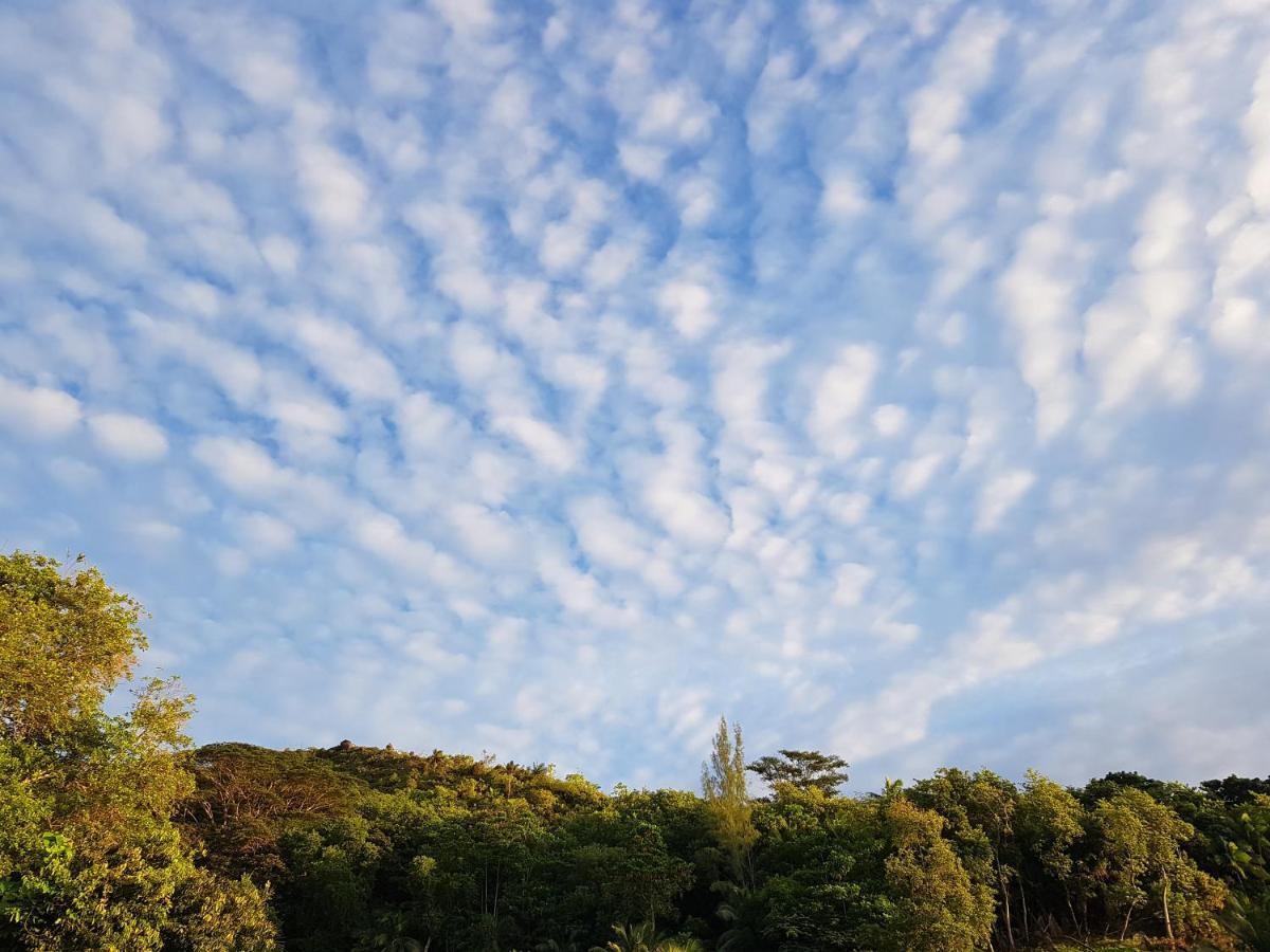 Bougainvillas Seychelles อองซ์รอแยล ภายนอก รูปภาพ
